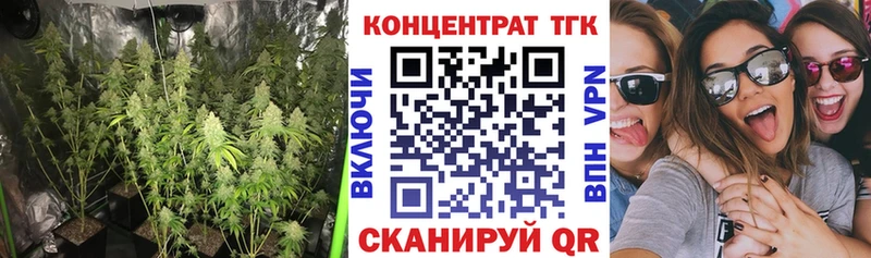 Дистиллят ТГК THC oil  Купить закладки  Енисейск 